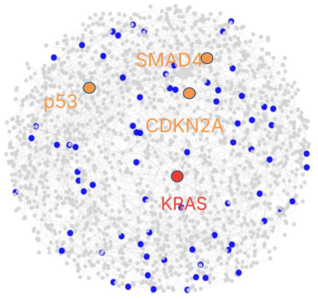 Pancreatic KRAS-mutated tumor genes separated into three tiers